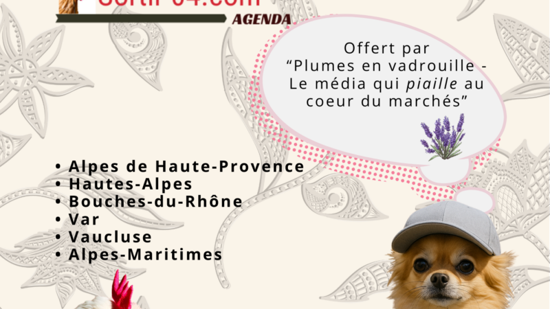 Le magazine des marchés arrive…