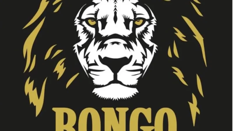 Concert Bongo White – Les Mercredis Musicaux 22 juillet 2026